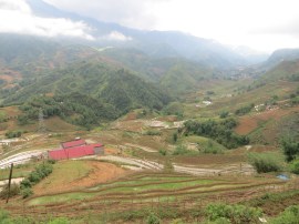 Sapa