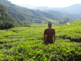 Cameron Highlands