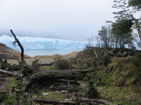 Perito Moreno glacier