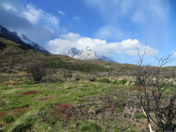 Torres del Paine